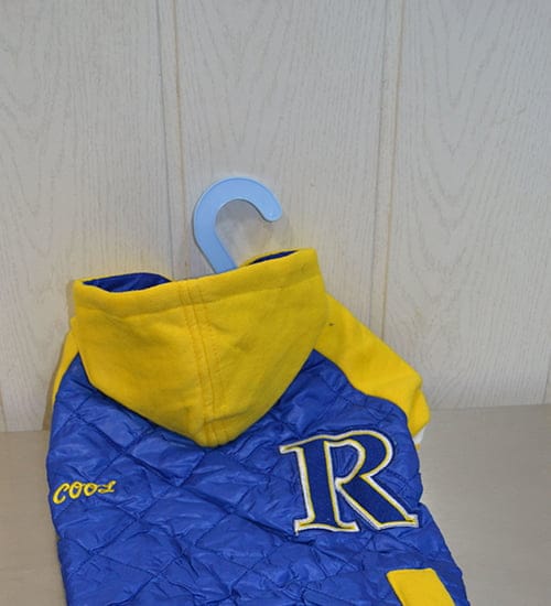 Anorak para perros azul y amarillo con capucha