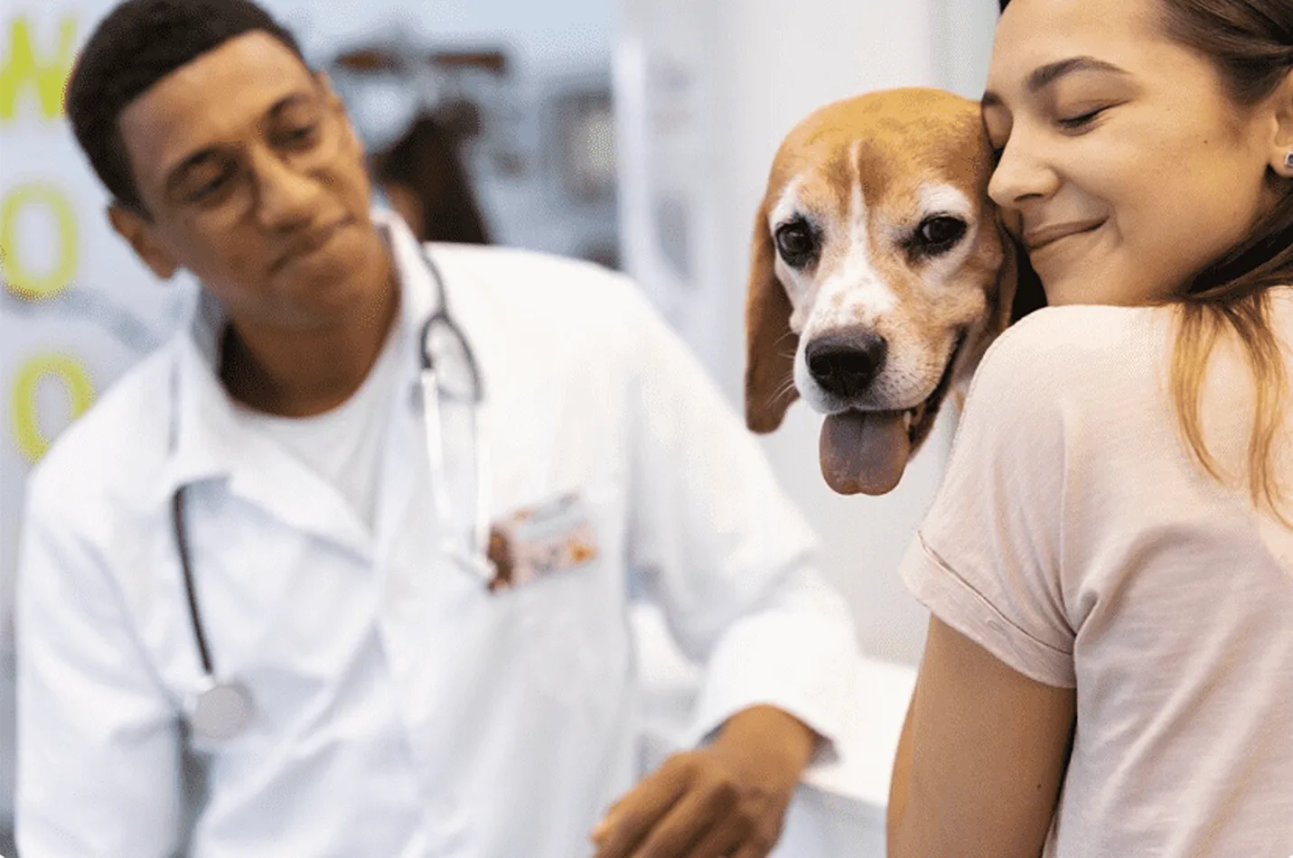 Mapa del sitio 1 Aviso Legal de Clínica Veterinaria CentralVet Alcorcón
